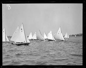 Sailboats