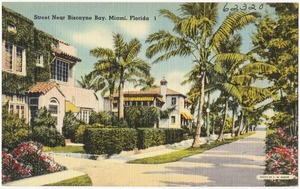 Street near Biscayne Bay, Miami, Florida