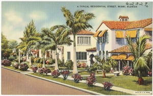 A typical residential street, Miami, Florida