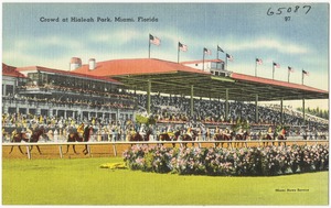 Crowd at Hialeah Park, Miami, Florida