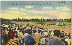On the home stretch at Hialeah Park race track at Miami, Florida