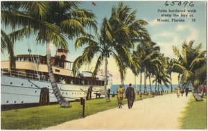 Palm bordered walk along the bay at Miami, Florida