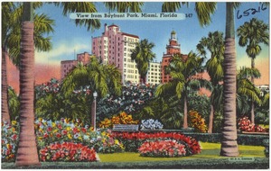 View from Bayfront Park, Miami, Florida