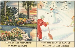 Flowers are blooming in Miami, Florida, while the snow is gently falling in the north