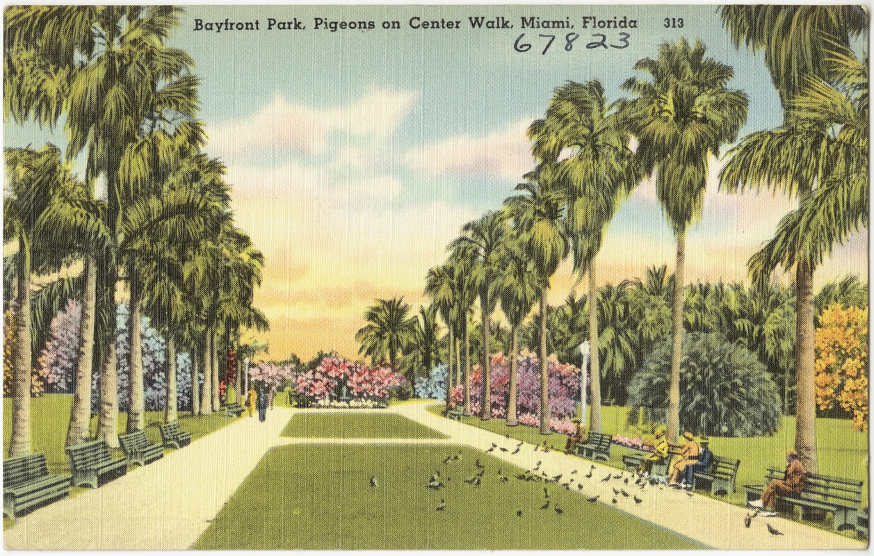 Bayfront Park, pigeons on center walk, Miami, Florida