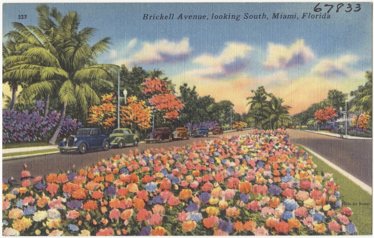 Bricknell Avenue, looking south, Miami, Florida