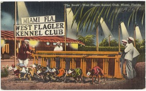 "The Break," West Flagler Kennel Club, Miami, Florida