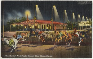 "The Hurdle," West Flagler Kennel Club, Miami, Florida