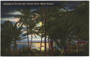 Moonlight on Biscayne Bay, Coconut Grove, Miami, Florida