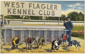 West Flagler Kennel Club is the only dog track in America with all glass starting boxes