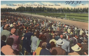 On the home stretch at Hialeah Park race track, Miami, Florida