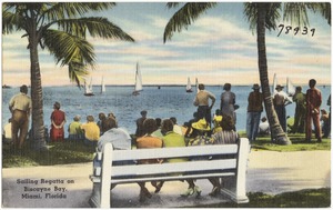 Sailing regatta on Biscayne Bay, Miami, Florida