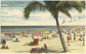 Beach at new and beautiful Crandon Park, Virginia key, Miami, Florida