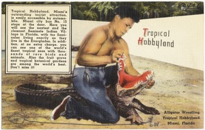 Alligator wrestling, Tropical Hobbyland, Miami, Florida
