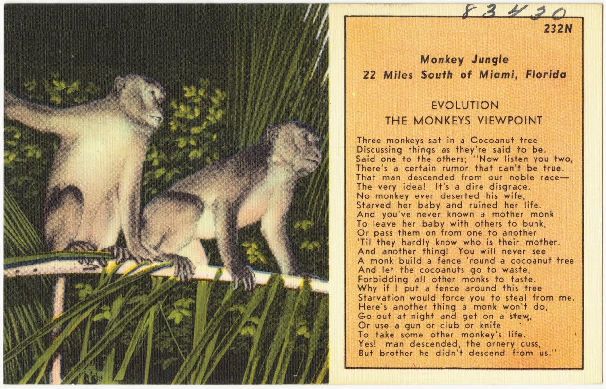 Monkey Jungle, 22 miles south of Miami, Florida