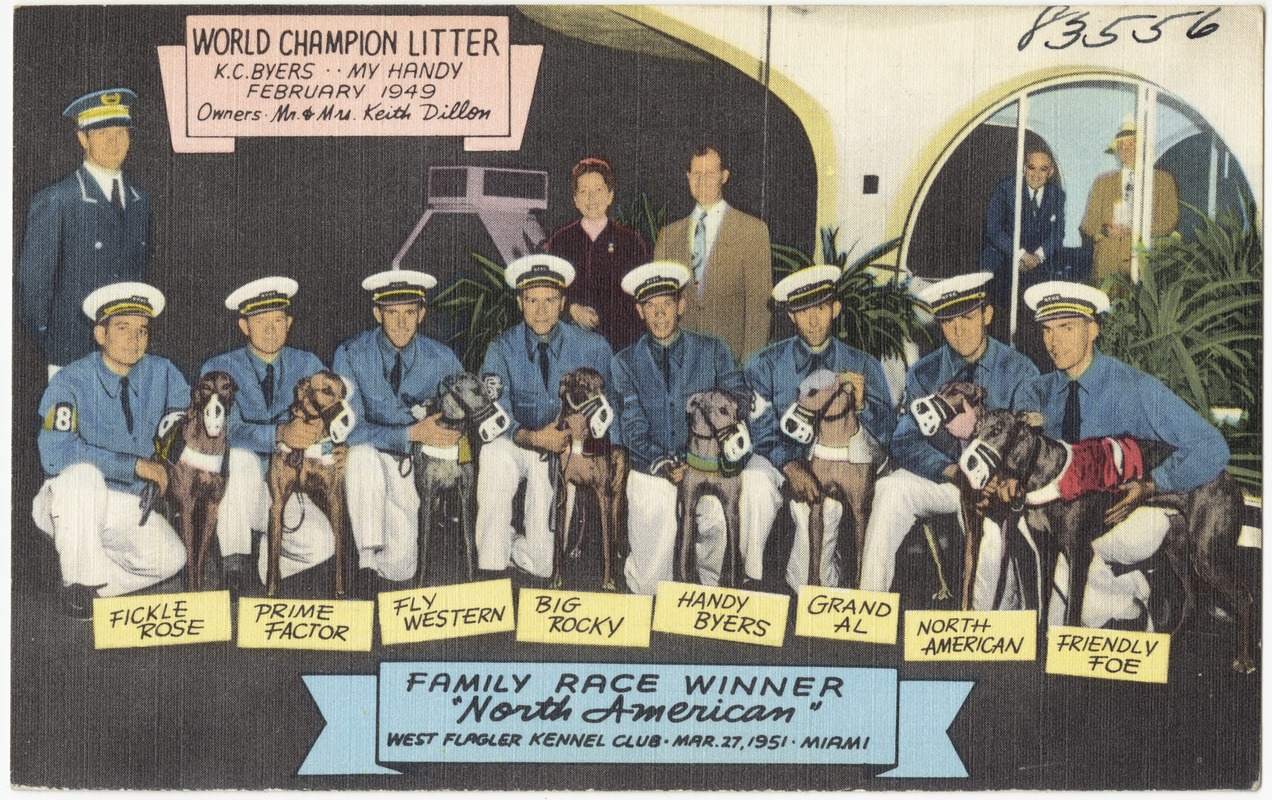 Family race winner, "North American", West Flagler Kennel Club, March 27, 1951, Miami