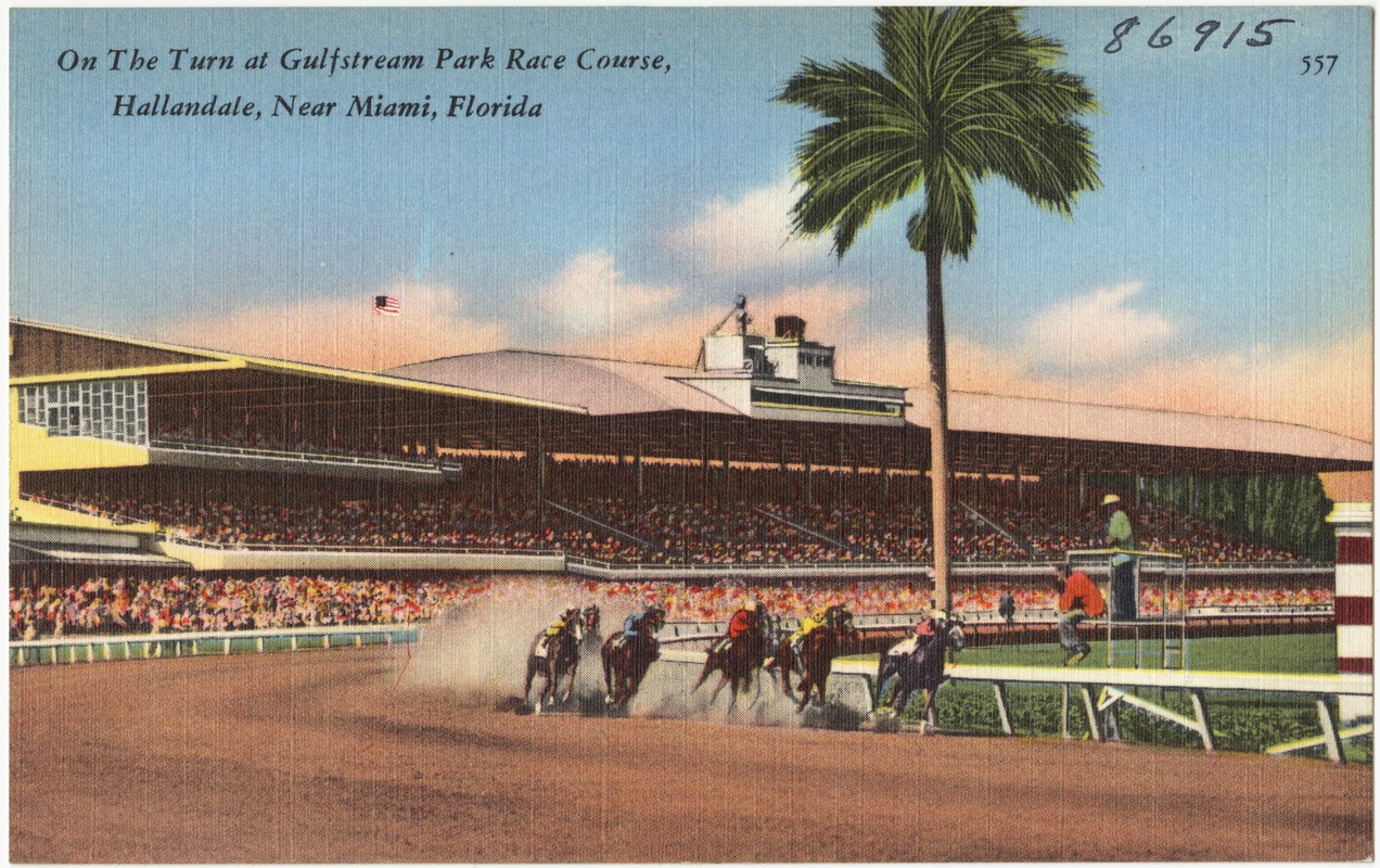 On the turn at Gulfstream Park race course, Hallandale, near Miami, Florida