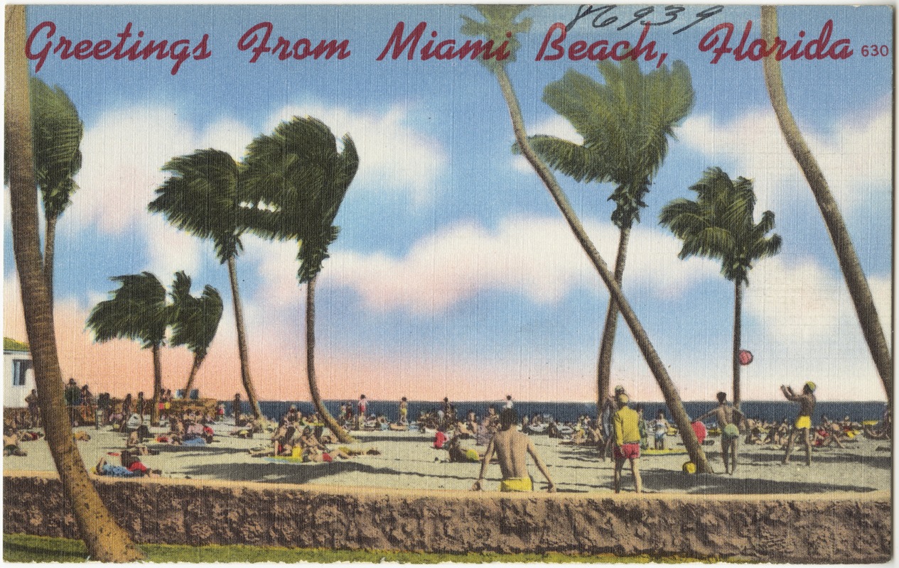 Greetings from Miami beach, Florida
