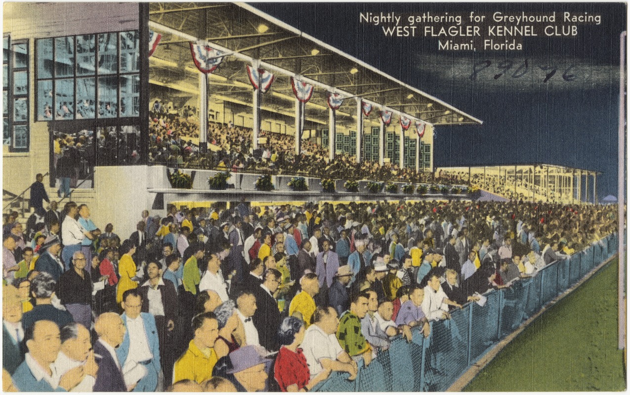 Nightly gathering for greyhound racing, West Flagler Kennel Club, Miami, Florida