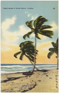Trade winds at Miami Beach, Florida