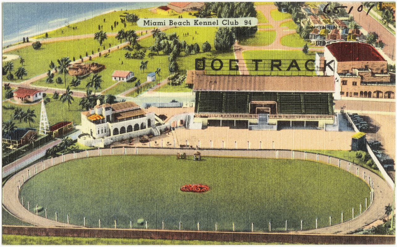 Miami Beach Kennel Club Digital Commonwealth