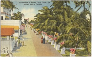 Promenade at Roney Plaza pools, Miami Beach, Florida