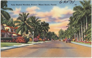 Palm shaded meridian avenue, Miami Beach, Florida