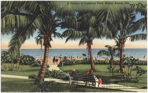 A corner of Lummus Park, Miami Beach, Florida