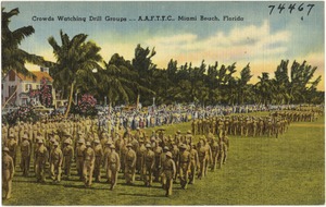 Crowds watching drill groups- A.A.F.T.T.C., Miami Beach, Florida
