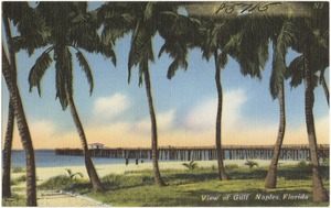 View of gulf, Naples, Florida