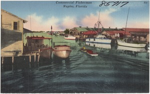 Commercial fisherman, Naples, Florida