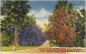 Entrance to the Mather-Smith Estate, Edgegrove Farms, Oakland, Orange County, Florida, U.S.A.