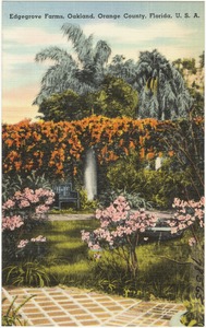Edgegrove Farms, Oakland, Orange County, Florida, U.S.A.