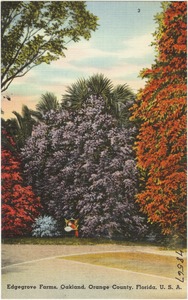 Edgegrove Farms, Oakland, Orange County, Florida, U.S.A.
