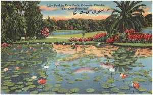 Lily pool in Eola Park, Orlando, Florida, "the city beautiful"