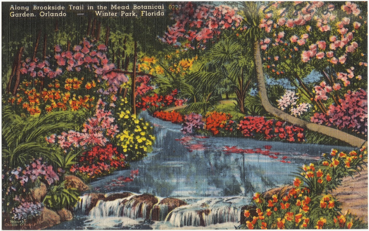 Along Brookside Trail in the Mead Botanical Garden, Orlando- Winter Park, Florida