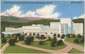 West Virginia University Medical Center, Morgantown, W. Va.