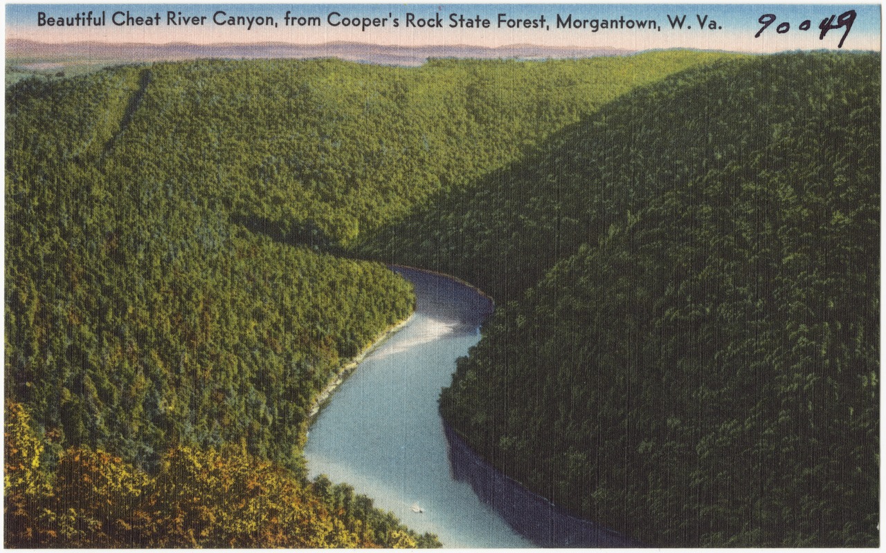 Beautiful Cheat River Canyon, from Cooper's Rock State Forest, Morgantown, W. Va.