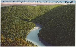 Beautiful Cheat River Canyon, from Cooper's Rock State Forest, Morgantown, W. Va.