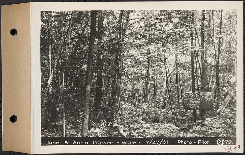 Contract No. 21, Portion of Ware-Belchertown Highway, Ware and Belchertown, land of John and Anna Parker, Plan No. S-6 Ware, Mass., Jul. 27, 1931