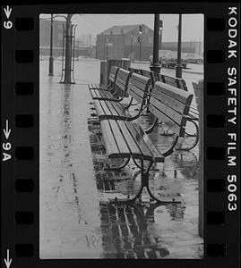 Benches in the rain