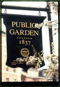 Boston 1998: Spring, sign for Boston Public Garden