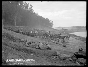 Distribution Department, Low Service Spot Pond Reservoir, stripping on west shore, Section 5, from the south, Stoneham, Mass., Oct. 3, 1899