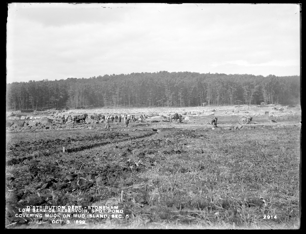 Distribution Department, Low Service Spot Pond Reservoir, covering muck on Mud Island, Section 5, from the south, Stoneham, Mass., Oct. 3, 1899