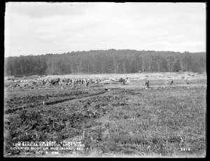 Distribution Department, Low Service Spot Pond Reservoir, covering muck on Mud Island, Section 5, from the south, Stoneham, Mass., Oct. 3, 1899