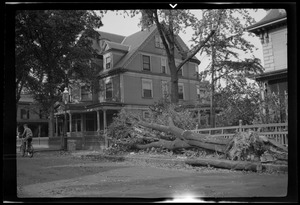 In front of Dr. Boyd's house, next to house of Ex. Gov. Foss, Revere St., Jamaica Plain, after the hurricane