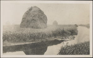 Haystacks on a meadow along the Sudbury River