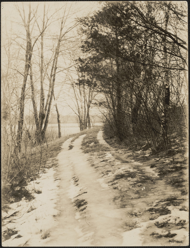 Country road in winter overlooking the Sudbury River