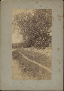Old Sudbury Road with footpath and stone wall