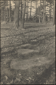 Graves in the Old Indian Burying Ground